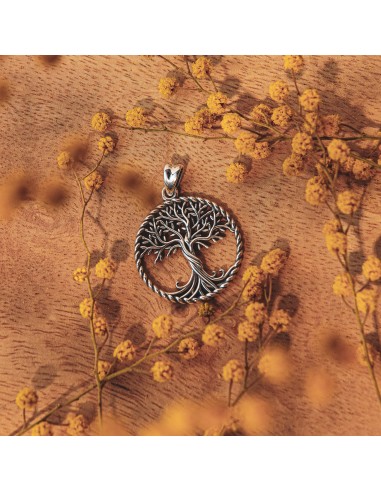 Médaille Arbre de Vie en argent Véritable concentré