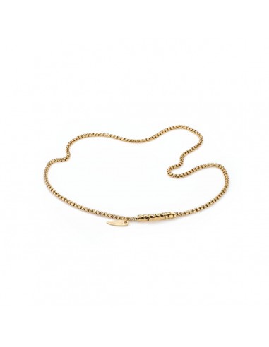 Collier Femme AN Jewels AA.C257GG votre