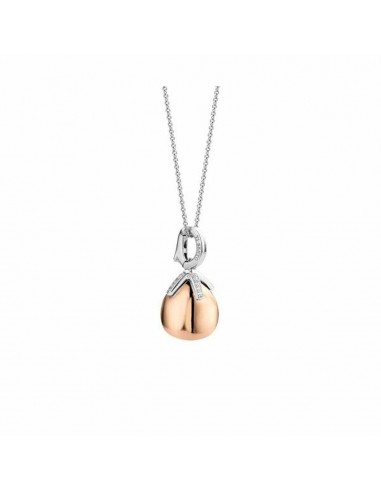 Collier Femme Ti Sento 6765SR pour bénéficier 