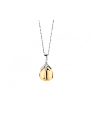 Collier Femme Ti Sento 6765SY de France